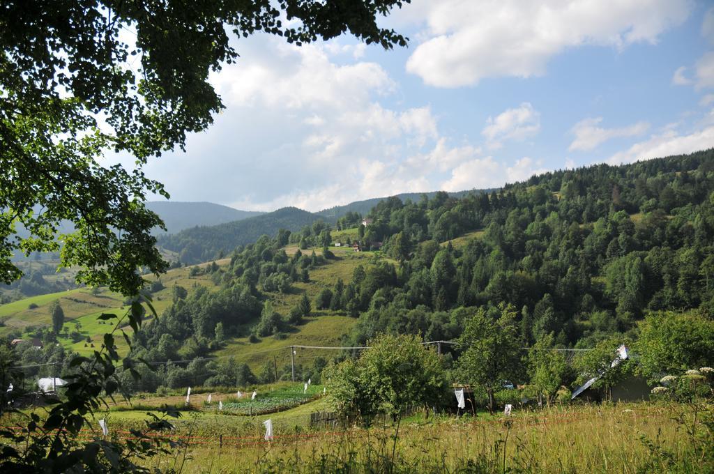 Drevenicka 110 Villa Zázrivá Eksteriør bilde
