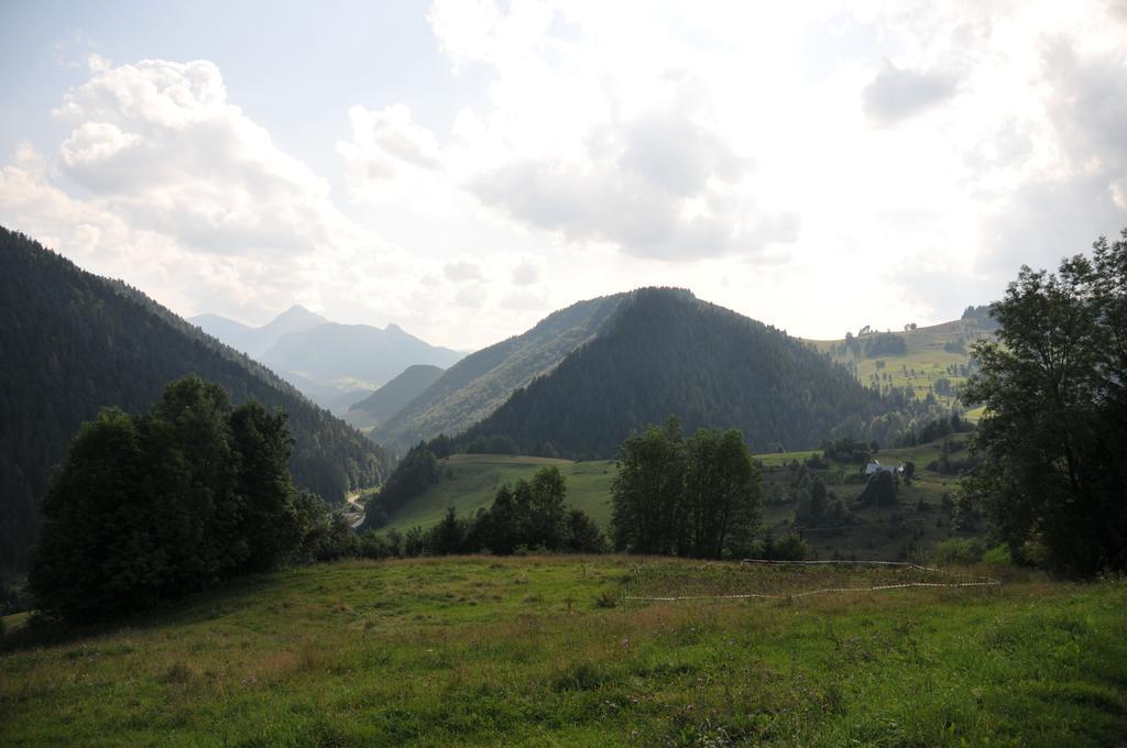 Drevenicka 110 Villa Zázrivá Eksteriør bilde